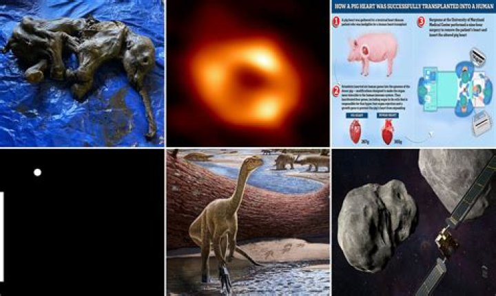 Unveiling Ryan Bingham's Muse: Discoveries And Insights